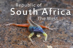 Republic of South Africa