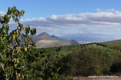 South of Citrusdal