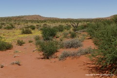 Kalahari