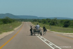 N of Johannesburg