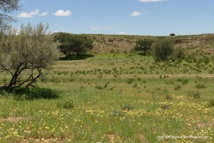 Kalahari