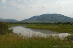 Pilanesberg