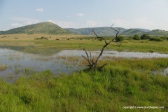 Pilanesberg