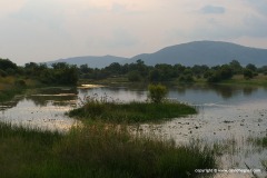 Pilanesberg