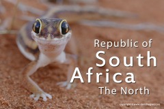 Republic of South Africa