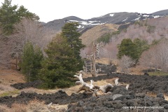 Etna - east