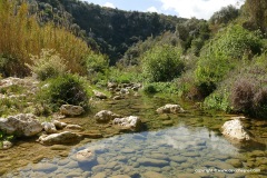 Anapo Valley