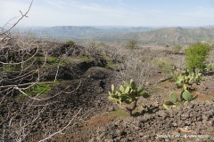 Monte Minardo