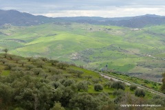 Near Nicosia