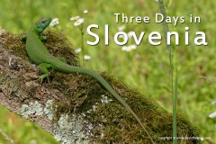 Slovenia