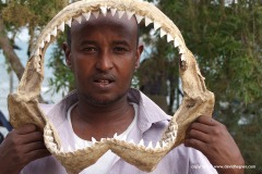 Berbera