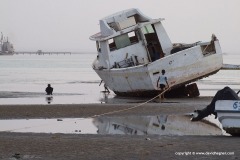 Berbera