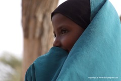 Borama
