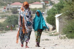 Borama