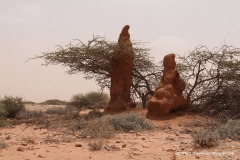 Near Burco