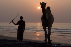 Berbera