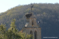 Near Cervera de Pisuerga