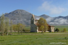 Pisón de Castrejón