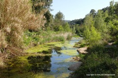 Sant Llorenç del Munt