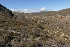 Near Cervera de Pisuerga