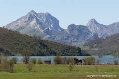 Cantabrian Mts.