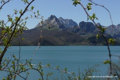 Cantabrian Mts.