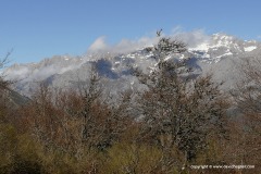 Cantabrian Mts.