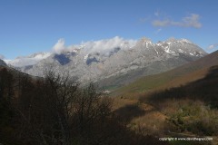 Cantabrian Mts.