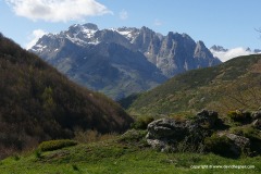 Cantabrian Mts.