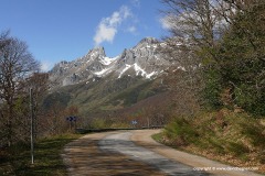 Cantabrian Mts.