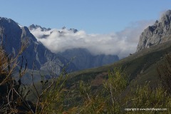 Cantabrian Mts.