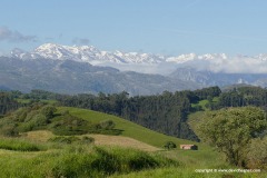 Cantabrian Mts.