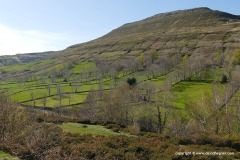 SW Pyrenees