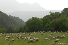 Ordesa y Monte Perdido