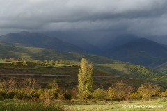 Pyrenees