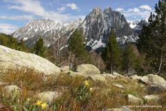 Aigüestortes i Estany de Sant Maurici