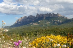 Mt. Montserrat