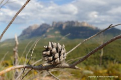 Mt. Montserrat