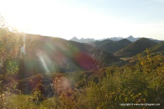 Cantabrian Mts.