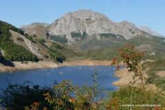 Cantabrian Mts.