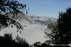 Picos de Europa