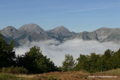 Cantabrian Mts.