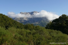 Picos de Europa