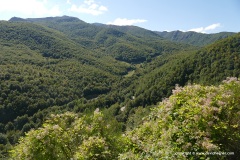 Cantabrian Mts.