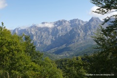 Cantabrian Mts.