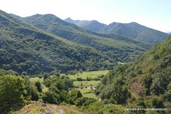 Cantabrian Mts.