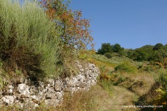 Cantabrian Mts.