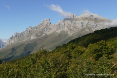 Picos de Europa