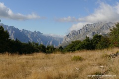 Picos de Europa