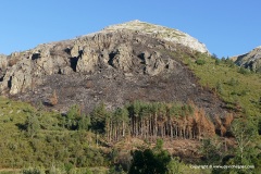 Picos de Europa